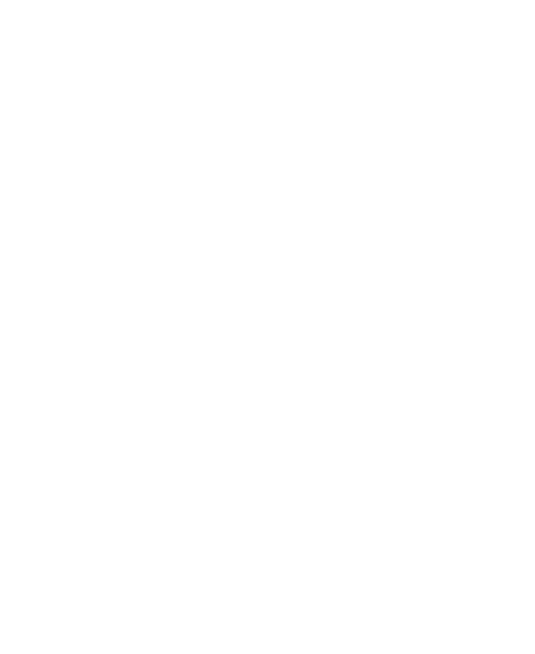 Skull Stylish