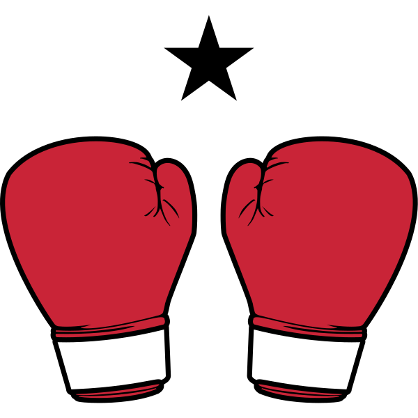 Boxing Gloves Star