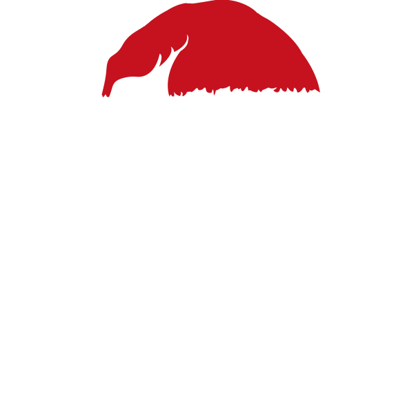 Dear Santa I Can Explain Everything