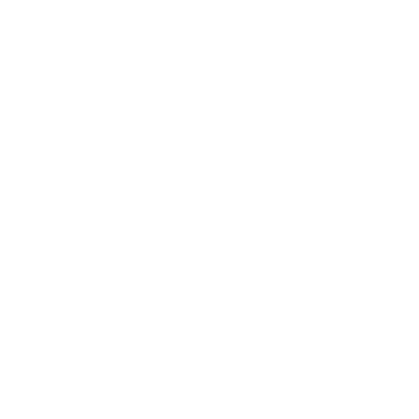 Grill Instructor