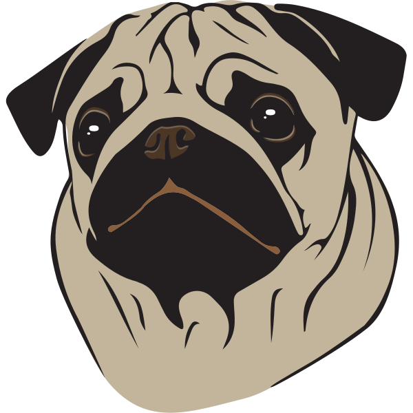 Pug