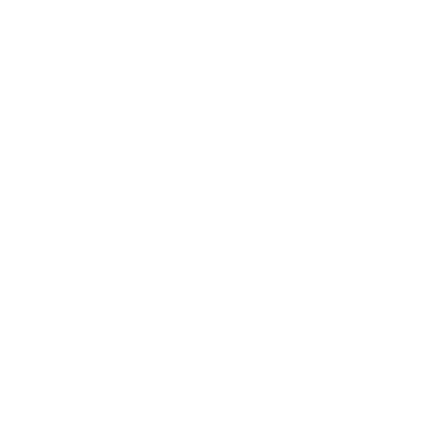 I'm With Stupid