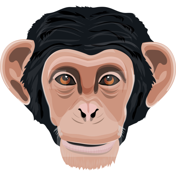 Chimp Ape