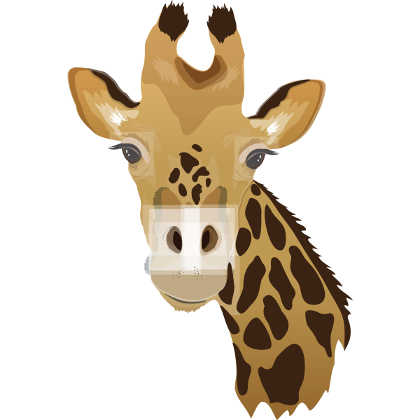 Giraffe Head Realistic