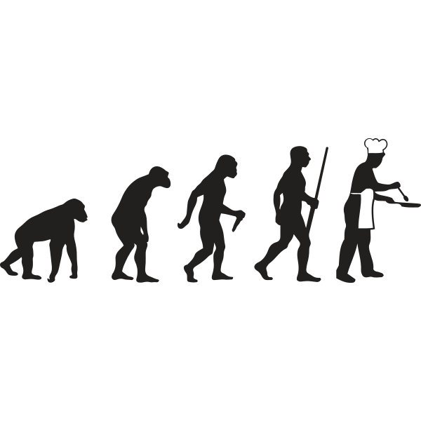 Cook Chef Evolution