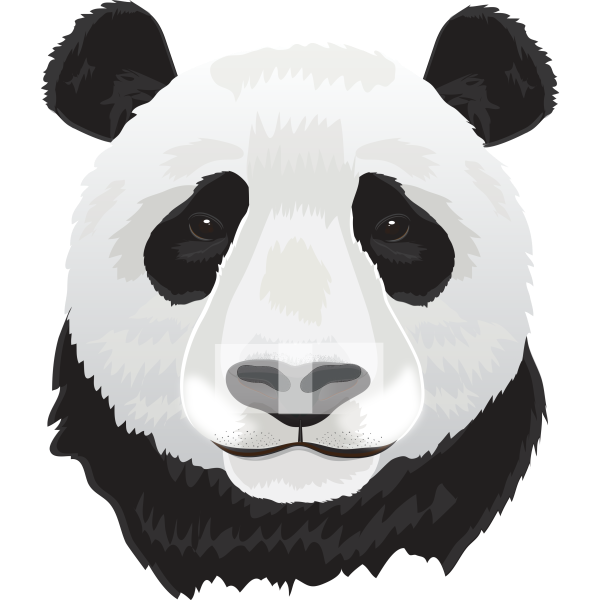 Panda Head Realistic