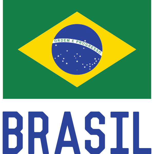 Brasilian Flag