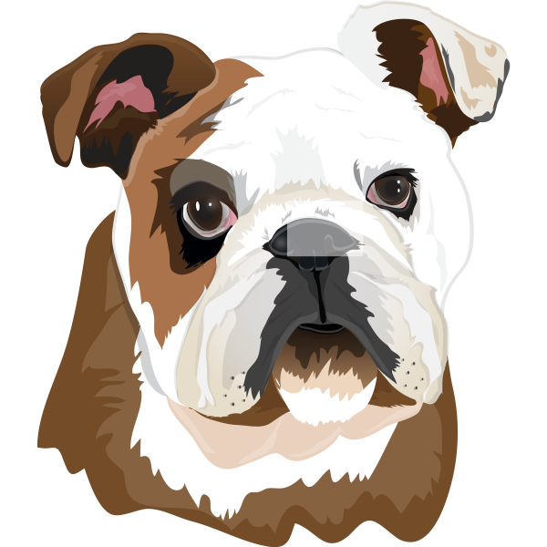 Bulldog Head Realistic