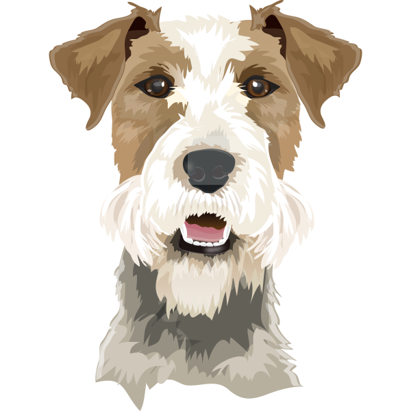 Fox Terrier Head Realistic