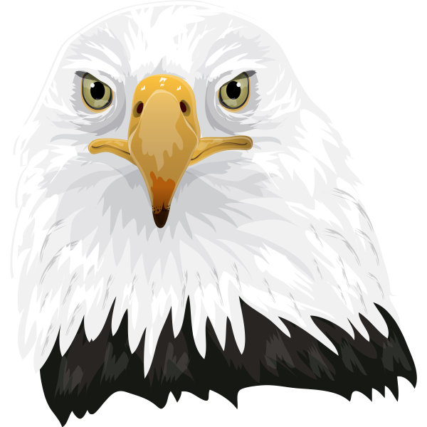 Eagle Predator Head