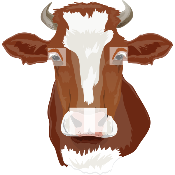 Brown Cow Head Realistic