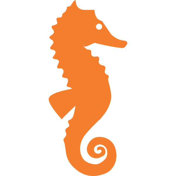 Sea Horse