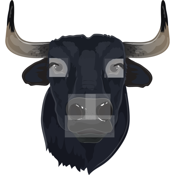 Bull Head Realistic