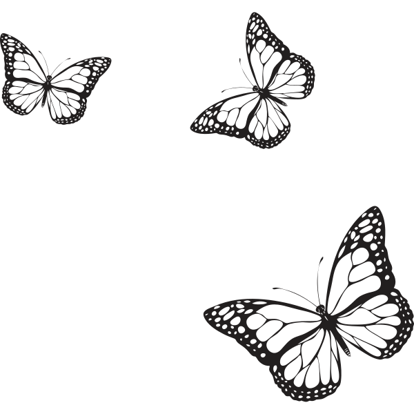 Butterflies Composition