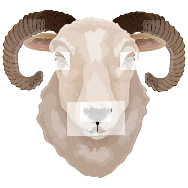 Ram Head Realistic