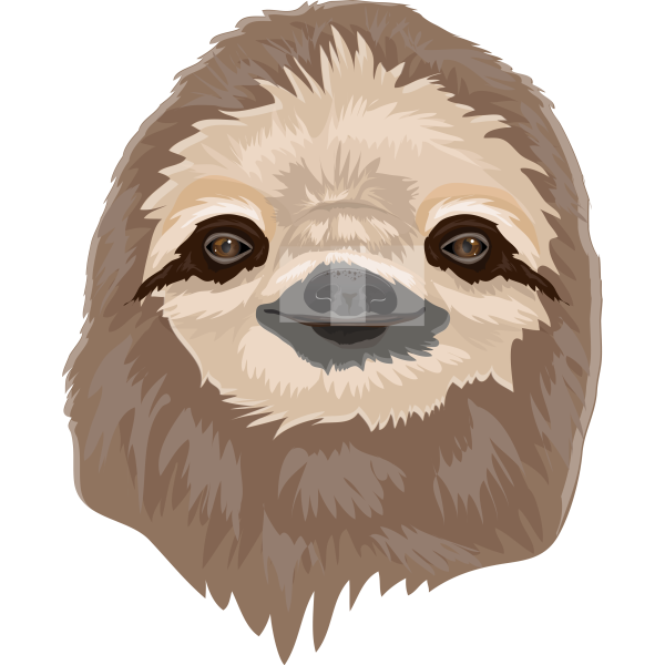 Sloth Head Realistic