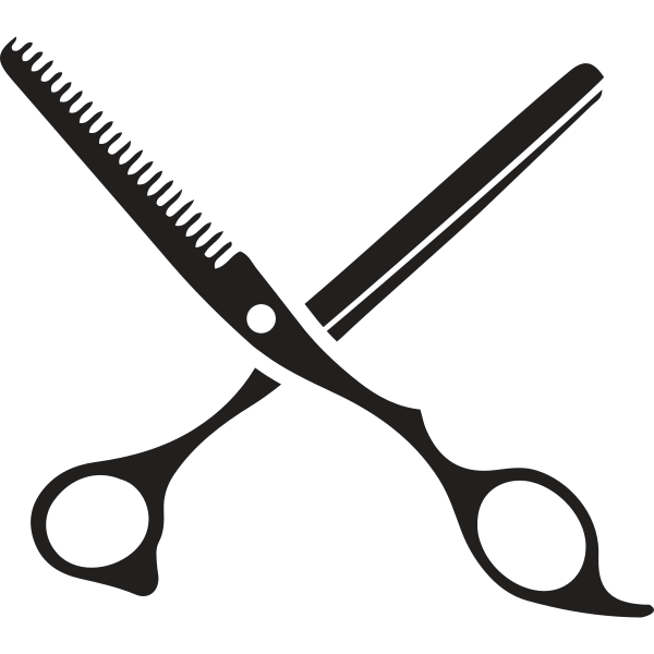 Hairdresser Scissors