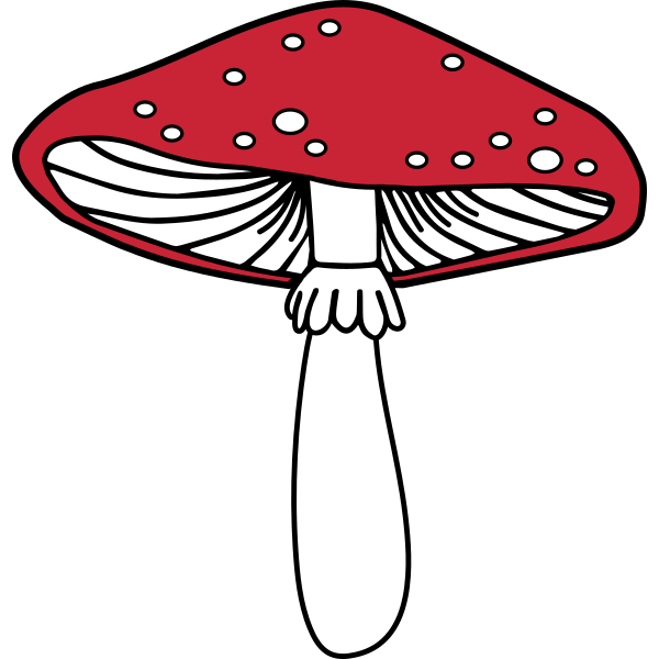 Red Mushroom