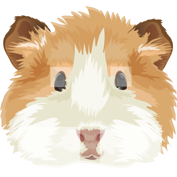 Guinea Pig Face Realistic