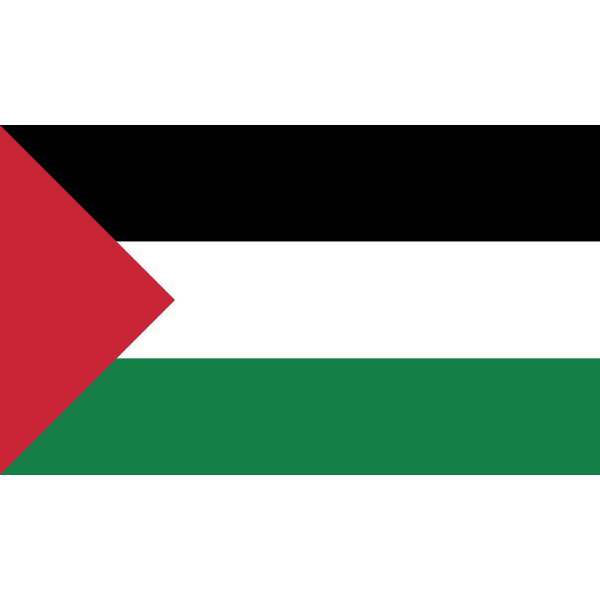 Palestine Flag