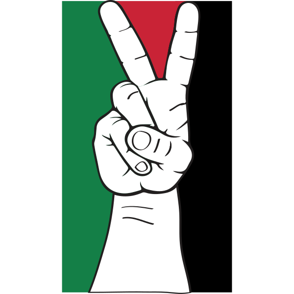 Peace Palestine Flag