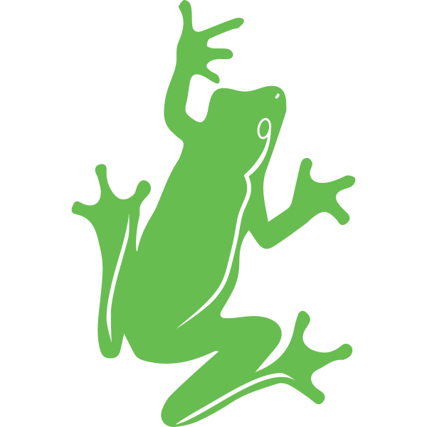 Frog Illustration