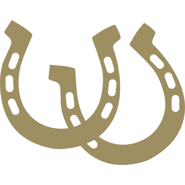 Horseshoes