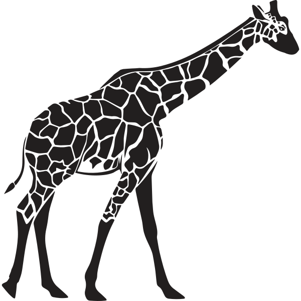 Giraffe Illustration