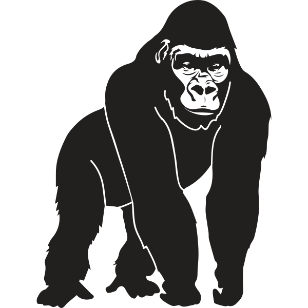 Gorilla Silhouette