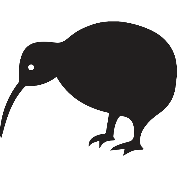 Kiwi Bird