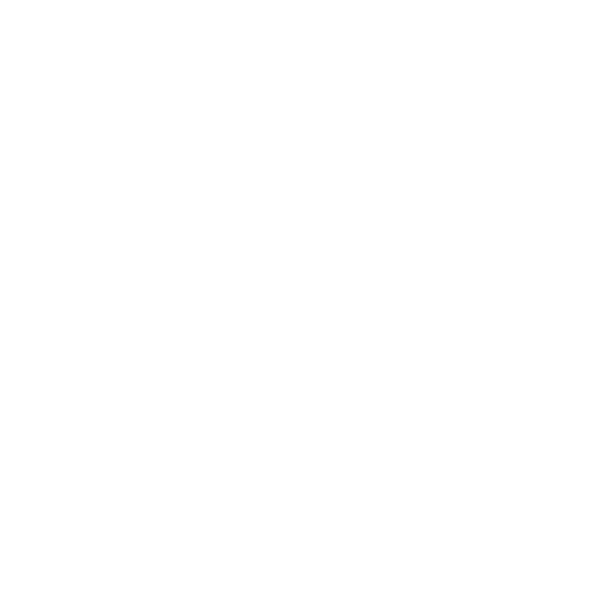 Kung Fu