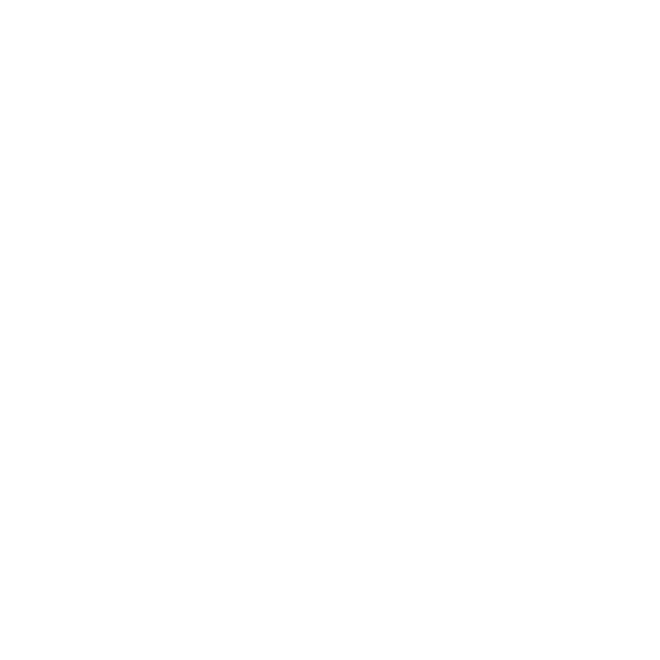 Baker Skull