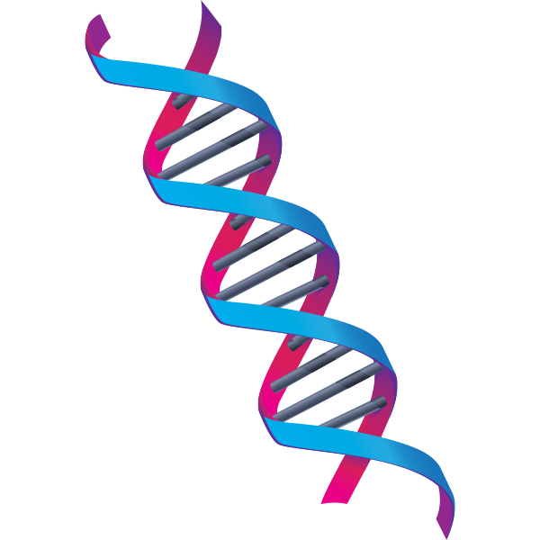 DNA