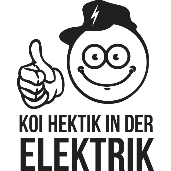 Koi Hektik in der Elektrik