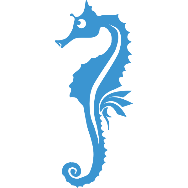 Seahorse