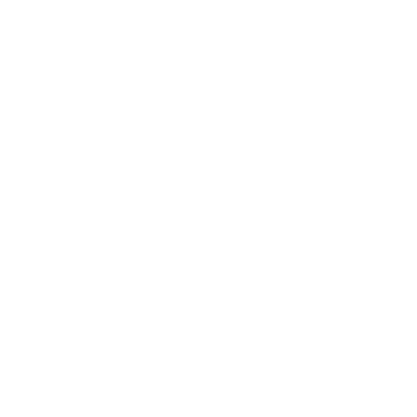 Born To Ride