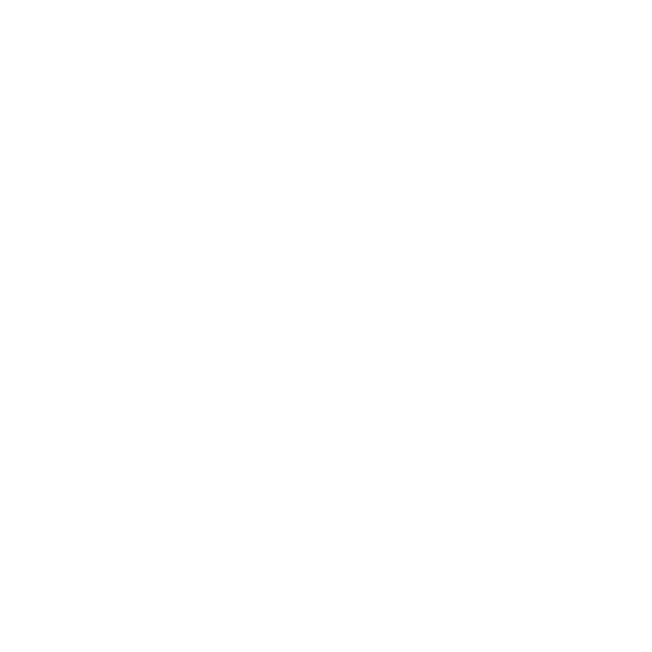 Slapp´n Da Bass