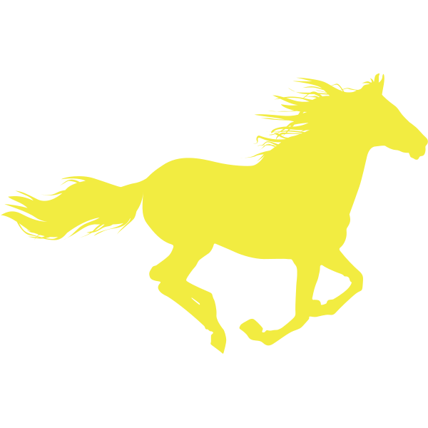 Horse Running