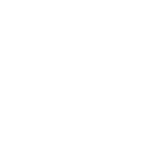 Bike Skull