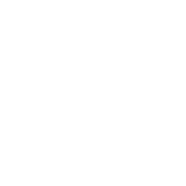 Einstein Face