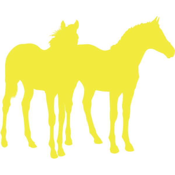 Horses