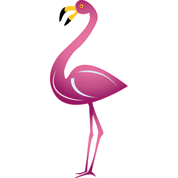 Flamingo Illustration