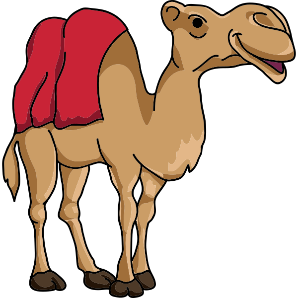 Camel Illustration