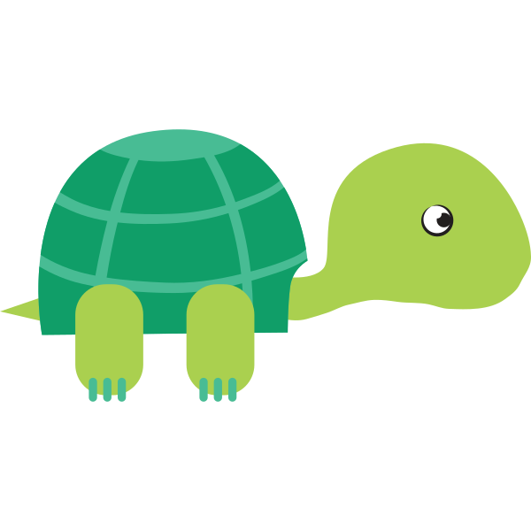 Turtle Illustration