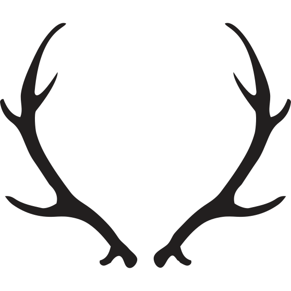 Deer Antlers