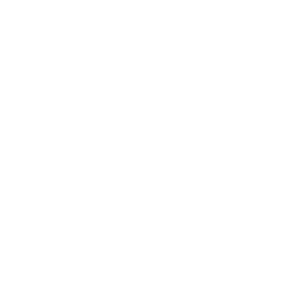 Ice Bear Icon