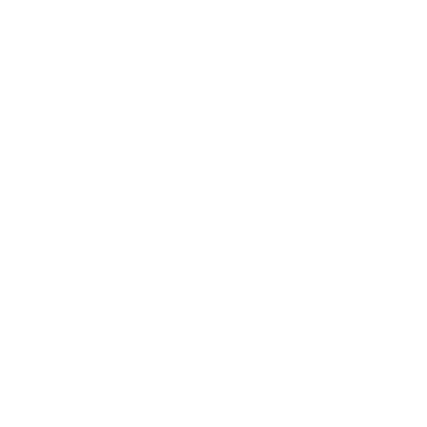 Roswell New Mexico