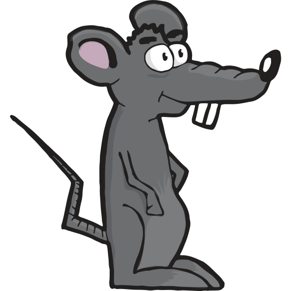 Rat Illustration