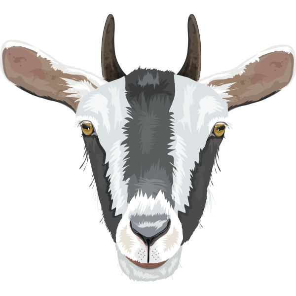 Realistic Goat Head