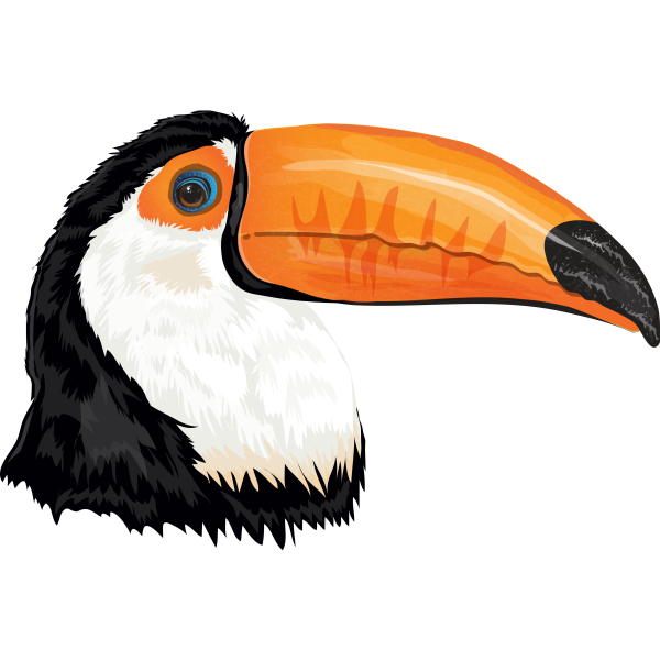 Toucan